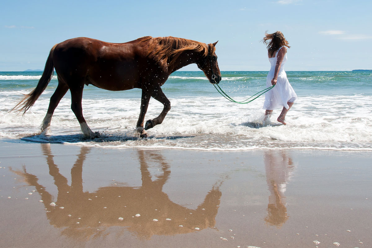 Healing-Beyond-Words-How-Equine-&-Surf-Therapy-Transform-PTSD-Recovery-for-Veterans-First-Responders-and-Law-Enforcement